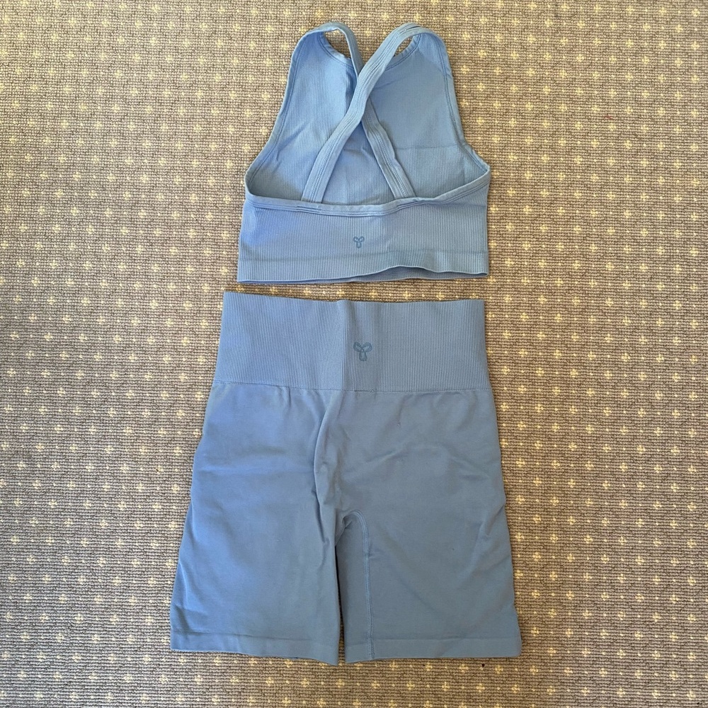 Aritzia Yoga Blue Sports Bra and Shorts Set